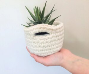 Cream crochet succulent planter